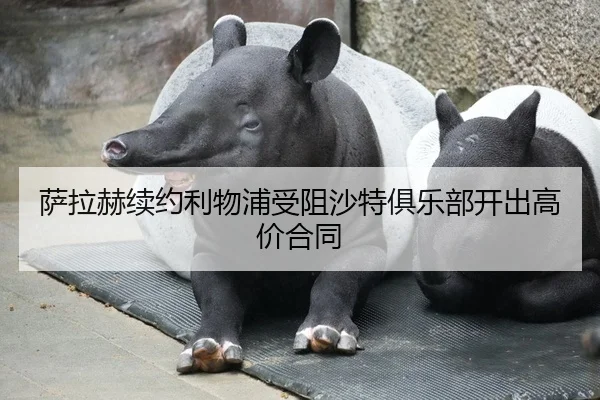 萨拉赫续约利物浦受阻沙特俱乐部开出高价合同